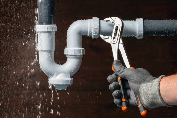 Professional Plumbing technician working in Rumsey, CA